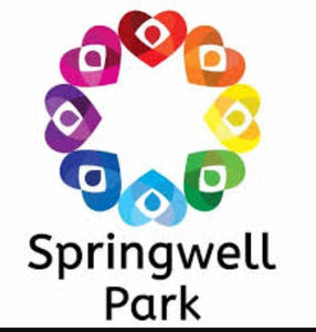 Springwell park PE hoodie